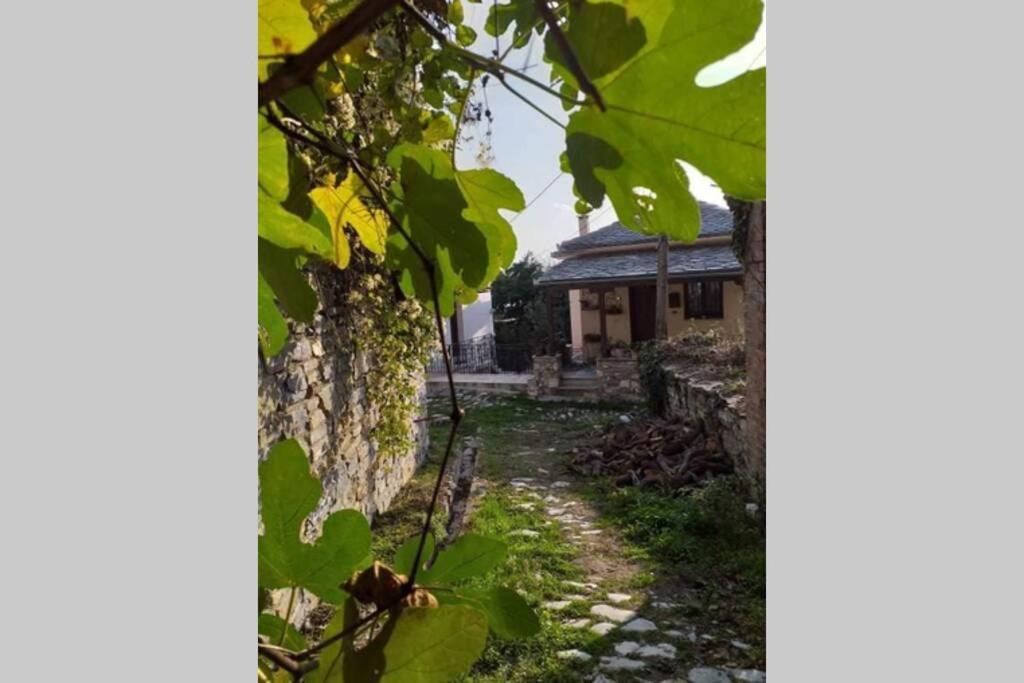 Pelion Cottage Mileai Luaran gambar